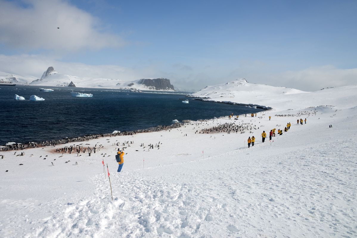 15B Wide View Of Penguins On Aitcho Barrientos Island In South Shetland Islands On Quark Expeditions Antarctica Cruise